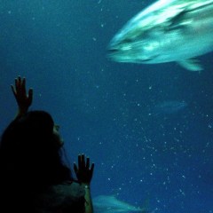 1014166_10100600707215929_793746408_n