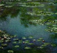 waterlilies