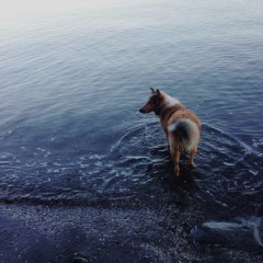 Processed with VSCOcam with m5 preset