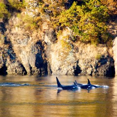 IMG_5175 - Version 2